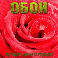 Продам Фешенебельные обои, гибкие цены.